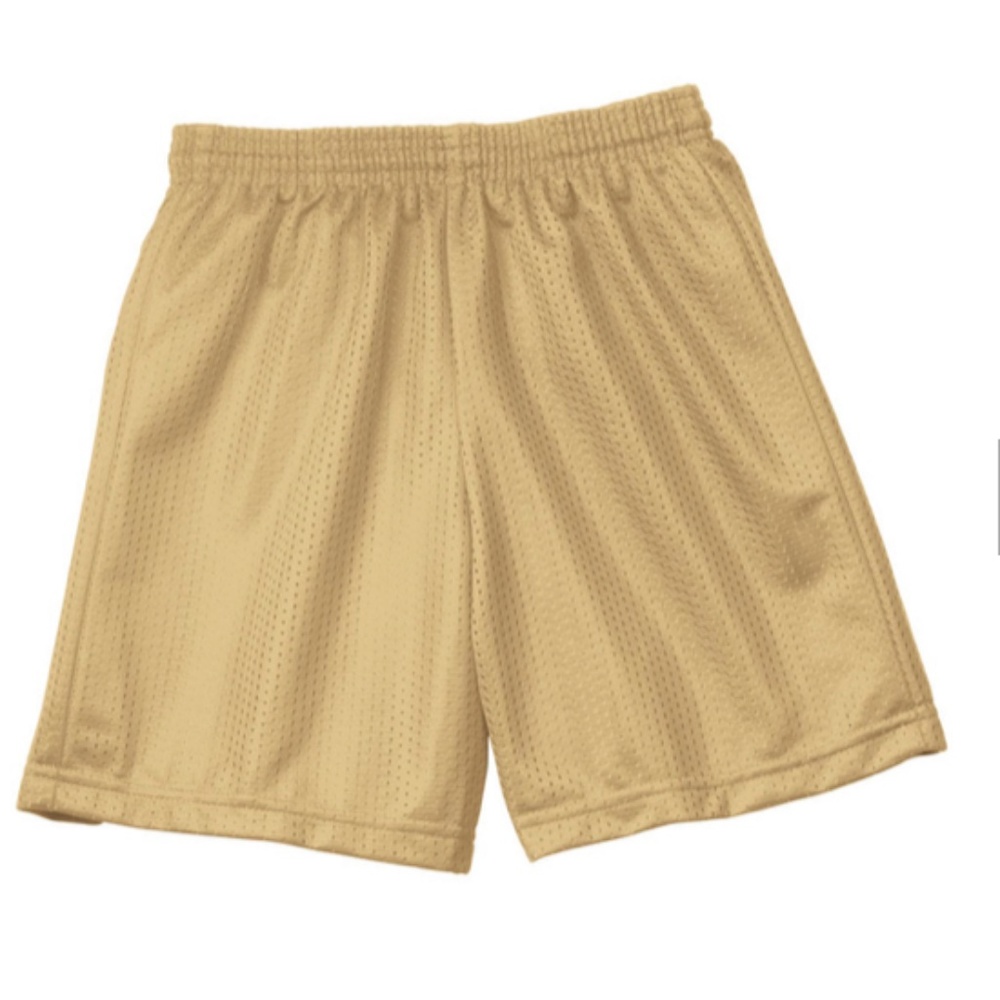 Team 365 mens drawstring mesh shorts